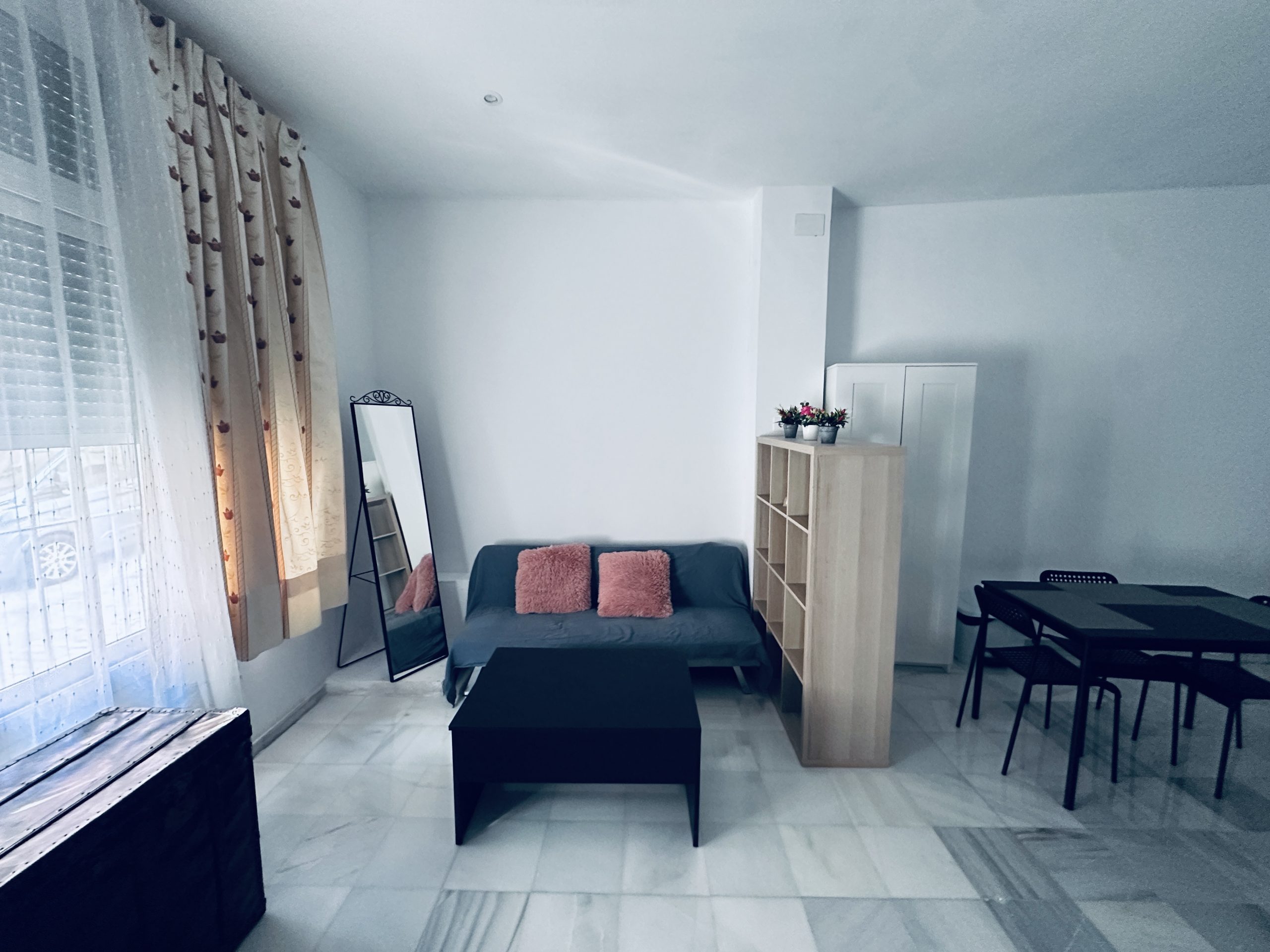 Salón y sofá cama del Apartamento 1